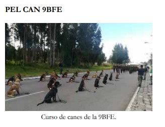 canes_9bfe