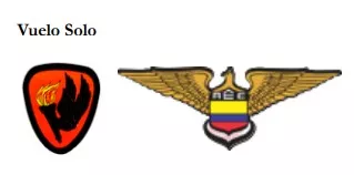 xvuelo_solo