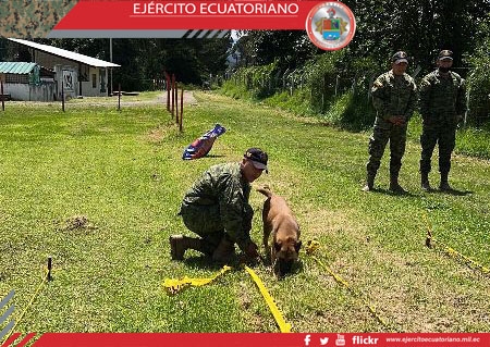 Escuadra canina del B.E 68 Cotopaxi recibe instrucción de búsqueda, detección y colocación de explosivos y minas