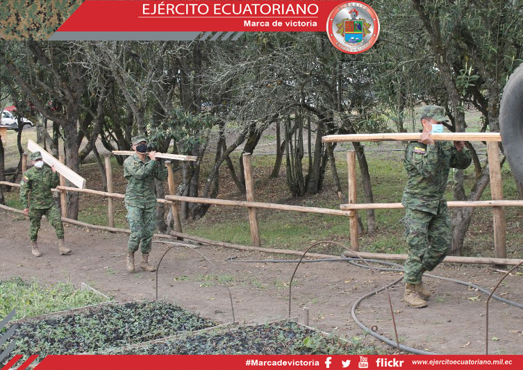 Militares participan en actividades de reforestación