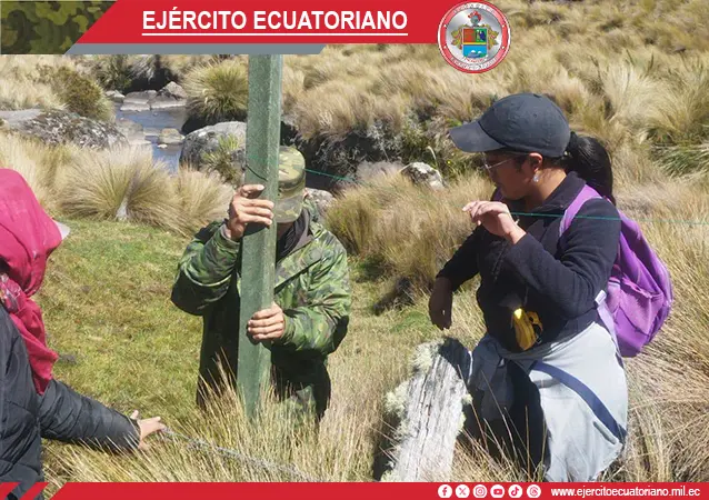 Galería 3