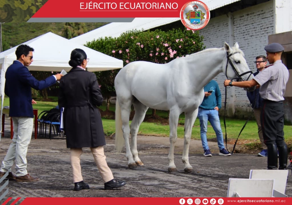 Primera inspección de caballos para el Campeonato Sudamericano Militar de Equitación 2026 “Copa Ejército Ecuatoriano”