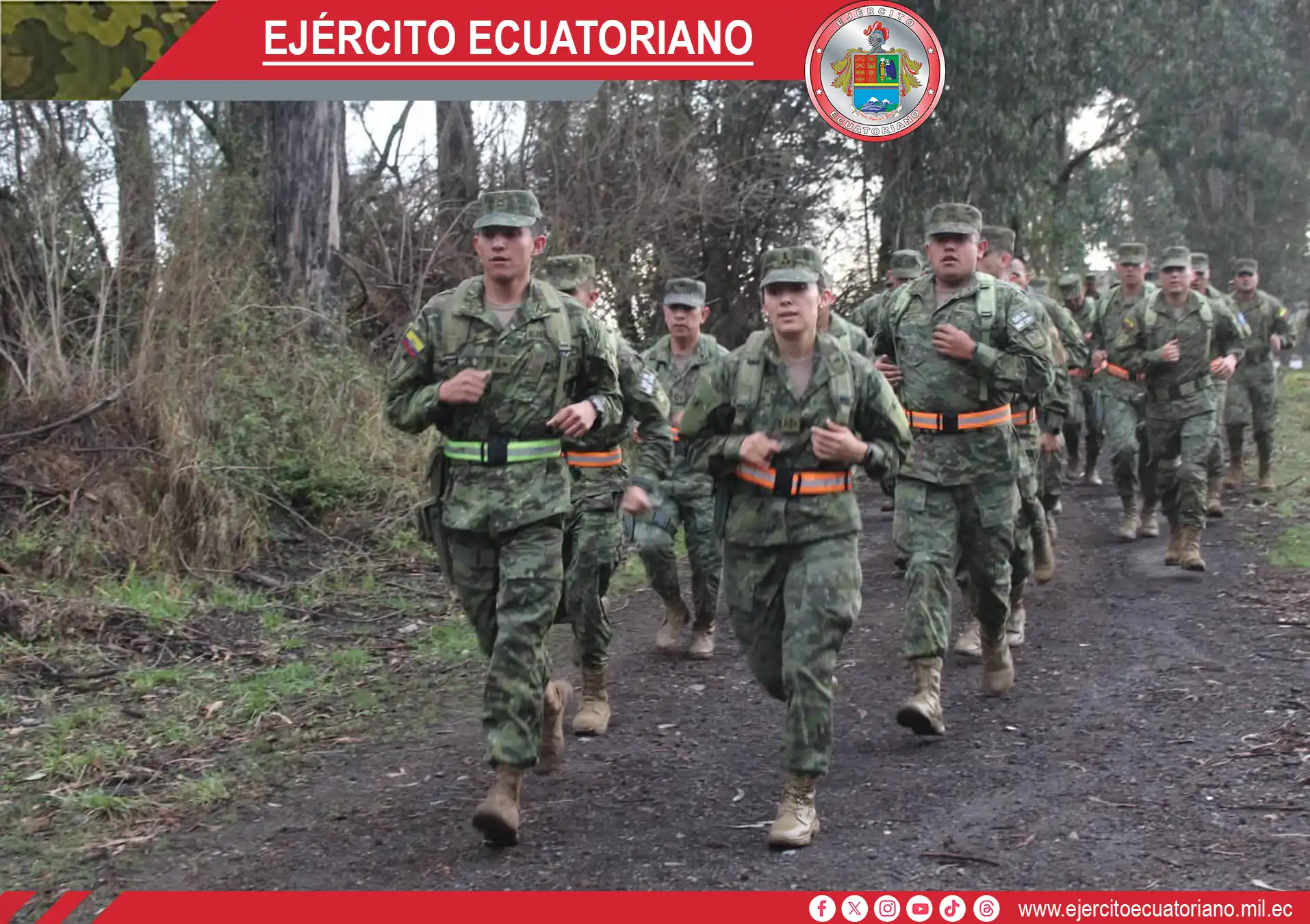 Galería 4