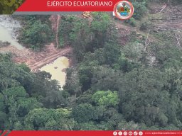 PUNINO