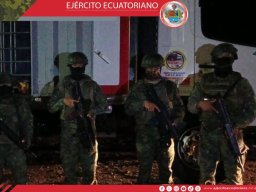 decomisos