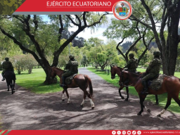 seguridad