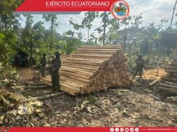 Madera sin documentación fue decomisada durante operaciones militares en Los Ríos 